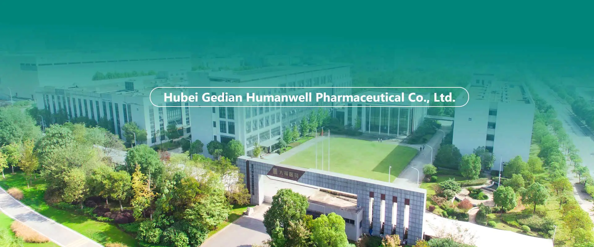 Čína API, meziprodukty, továrna na formulace